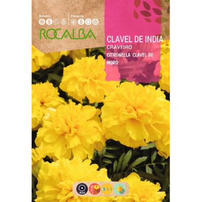 S.CRAVO ROCALBA ANAO DA INDIA