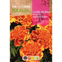 S.CRAVO ROCALBA DA INDIA DUPLO ANAO S.CRAVO ROCALBA DA INDIA DUPLO ANAO