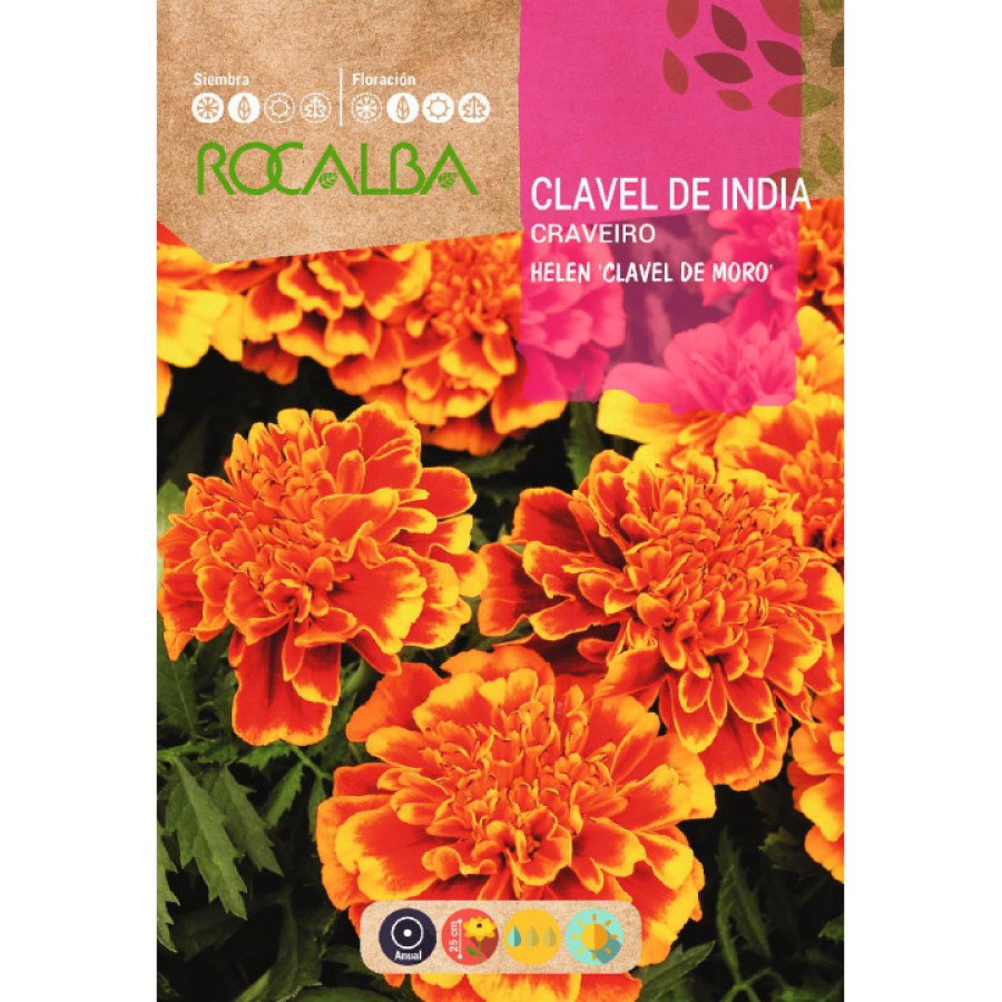 S.CRAVO ROCALBA DA INDIA DUPLO ANAO S.CRAVO ROCALBA DA INDIA DUPLO ANAO