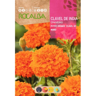 S.CRAVO ROCALBA INDIA DUPLO ANAO