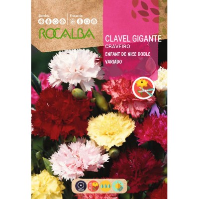 S.CRAVO ROCALBA GIGANTE VARIADO