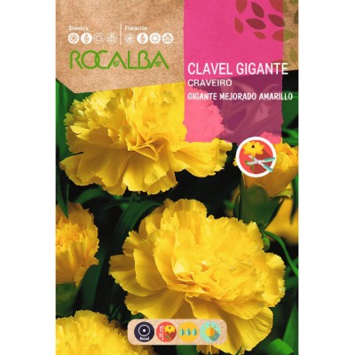 S.CRAVO ROCALBA GIGANTE AMARELO MELHORAD