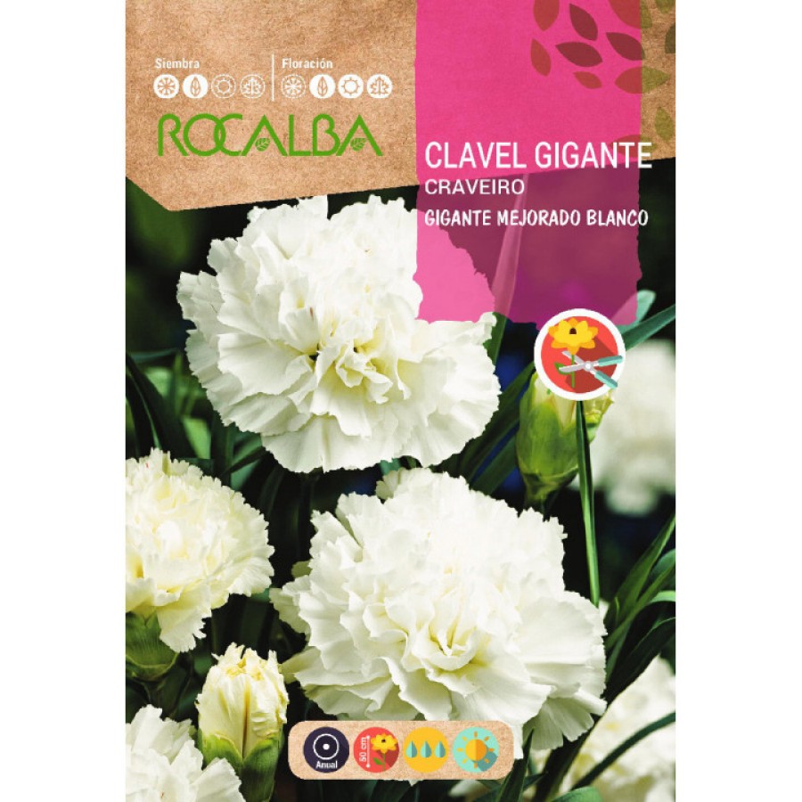 S.CRAVO ROCALBA GIGANTE BRANCO S.CRAVO ROCALBA GIGANTE BRANCO