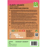 S.CRAVO ROCALBA GIGANTE ESTRIADO S.CRAVO ROCALBA GIGANTE ESTRIADO