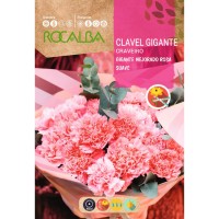 S.CRAVO ROCALBA GIGANTE ROSA PALIDO S.CRAVO ROCALBA GIGANTE ROSA PALIDO