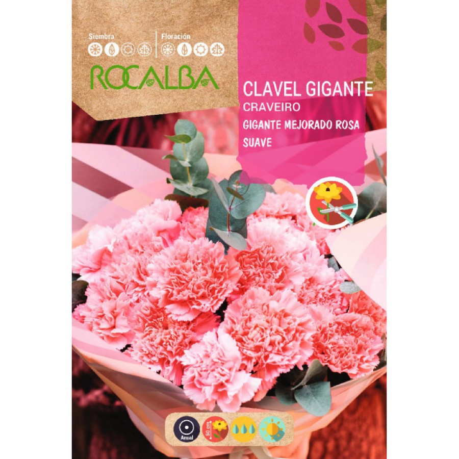 S.CRAVO ROCALBA GIGANTE ROSA PALIDO S.CRAVO ROCALBA GIGANTE ROSA PALIDO