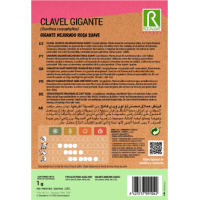 S.CRAVO ROCALBA GIGANTE ROSA PALIDO S.CRAVO ROCALBA GIGANTE ROSA PALIDO
