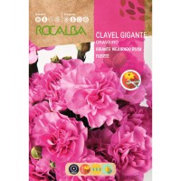 S.CRAVEIRO ROCALBA GIGANTE ROS.