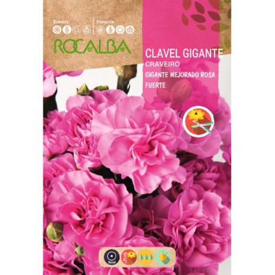 S.CRAVEIRO ROCALBA GIGANTE ROS.