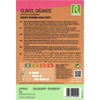S.CRAVEIRO ROCALBA GIGANTE ROS.