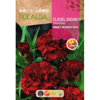 S.CRAVO ROCALBA GIGANTE VERMELHO