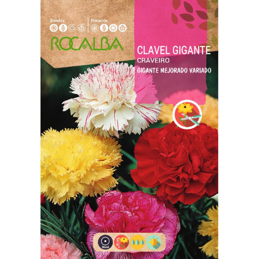 S.CRAVO ROCALBA GIGANTE MISTURA S.CRAVO ROCALBA GIGANTE MISTURA