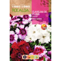 S.CRAVEIRO ROCALBA MIGNARDISE S.CRAVEIRO ROCALBA MIGNARDISE