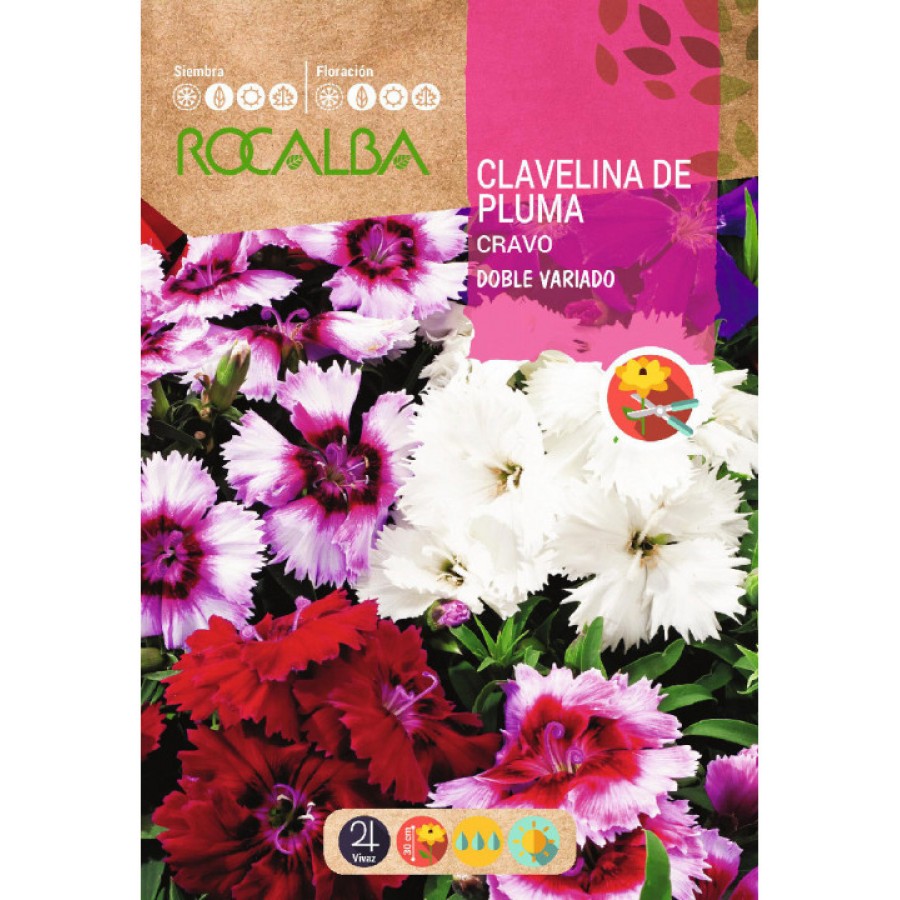 S.CRAVEIRO ROCALBA MIGNARDISE S.CRAVEIRO ROCALBA MIGNARDISE