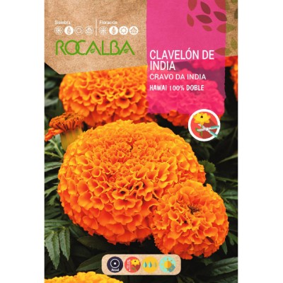 S.CRAVO ROCALBA ROSA DA INDIA