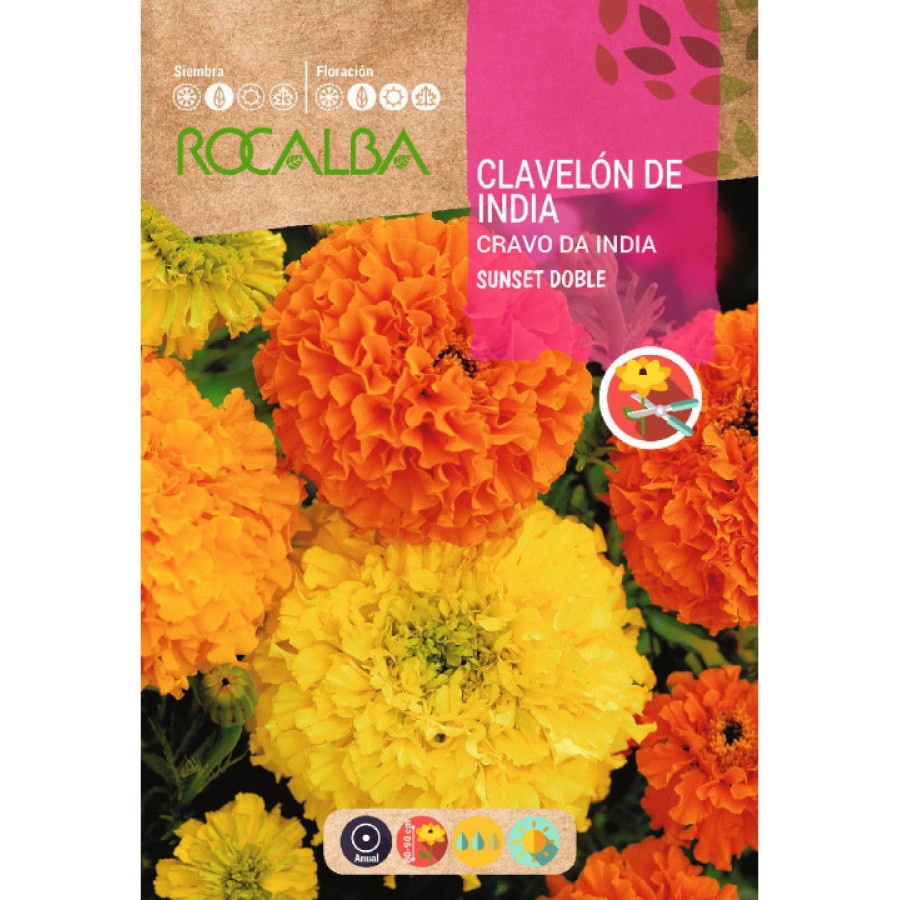 S.CRAVO ROCALBA ROSA INDIA VARIADA