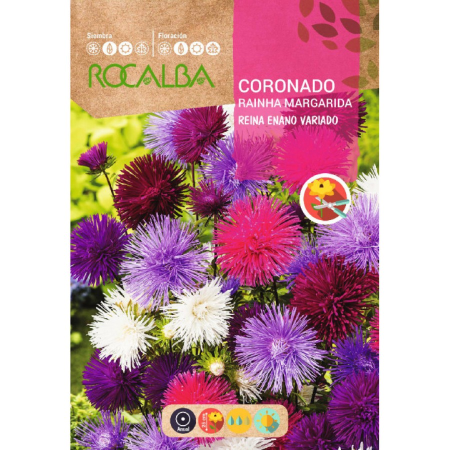 S.SECIAS ROCALBA RAINHA MARGARIDA ANA S.SECIAS ROCALBA RAINHA MARGARIDA ANA