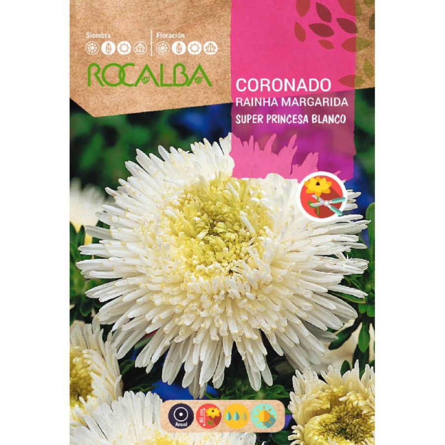 S.SECIAS ROCALBA SUPER PRINCESA BRANCA S.SECIAS ROCALBA SUPER PRINCESA BRANCA