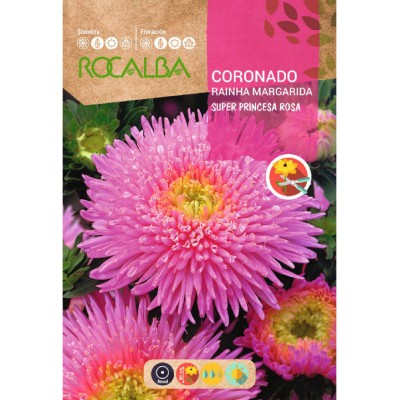 S.SECIAS ROCALBA SUPER PRINCESA ROSA