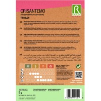 S.CRISANTEMO ROCALBA TRICOLOR VARIADO S.CRISANTEMO ROCALBA TRICOLOR VARIADO