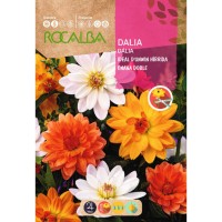 S.DALIA ROCALBA IDEAL ANA DUPLA