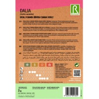 S.DALIA ROCALBA IDEAL ANA DUPLA S.DALIA ROCALBA IDEAL ANA DUPLA