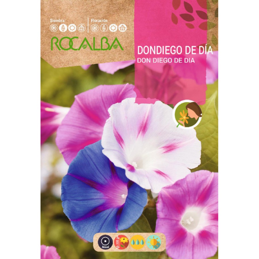 S.DON DIEGO DE DIA ROCALBA S.DON DIEGO DE DIA ROCALBA