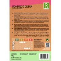 S.DON DIEGO DE DIA ROCALBA S.DON DIEGO DE DIA ROCALBA