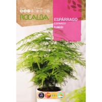 S.ROCALBA ESPARGO PLUMOSO S.ROCALBA ESPARGO PLUMOSO