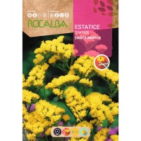 S.STATICE ROCALBA SINUATA AMARELO S.STATICE ROCALBA SINUATA AMARELO