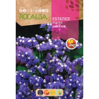 S.STATICE ROCALBA SINUATA AZUL