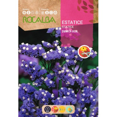 S.STATICE ROCALBA SINUATA AZUL