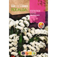 S.STATICE ROCALBA SINUATA BRANCO S.STATICE ROCALBA SINUATA BRANCO