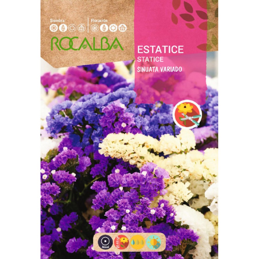 S.STATICE ROCALBA SINUATA VARIADO