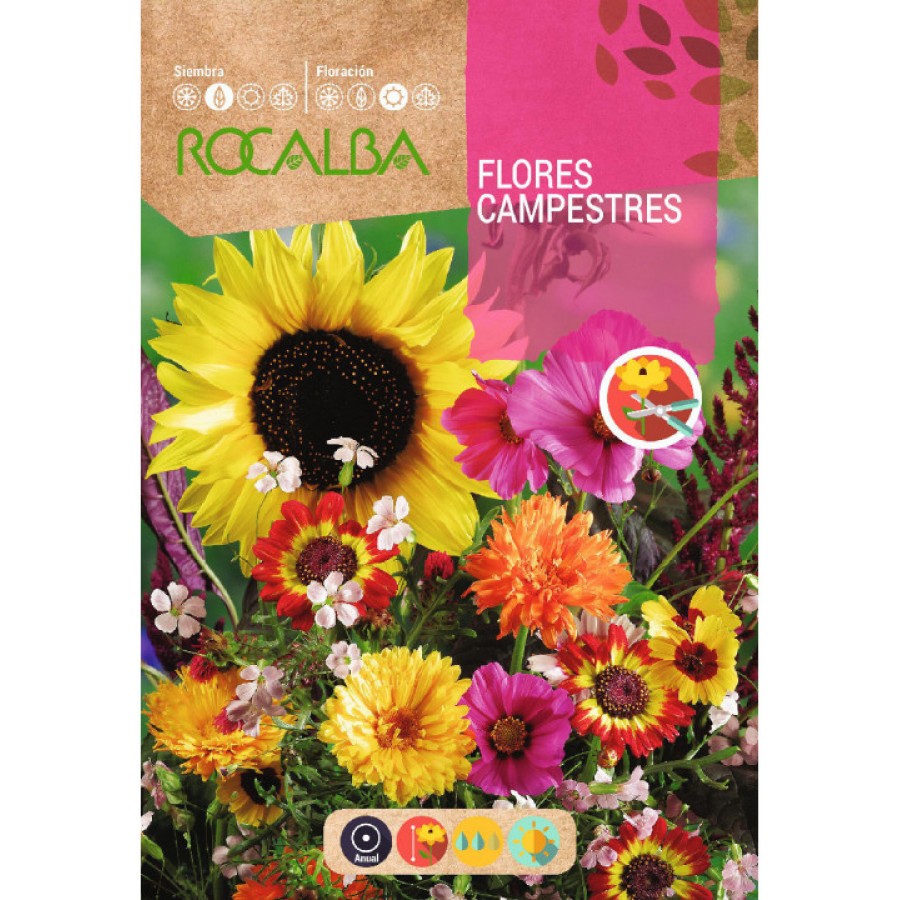 S.FLORES CAMPESTRES ROCALBA - 100G S.FLORES CAMPESTRES ROCALBA - 100G