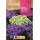 S.FLORES ROCALBA DE TAPETES - 100G
