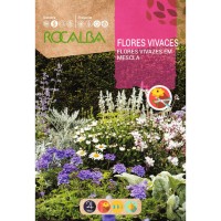 S.FLORES ROCALBA VIVAZES S.FLORES ROCALBA VIVAZES