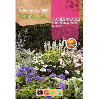 S.FLORES ROCALBA VIVAZES