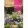 S.FLORES ROCALBA VIVAZES