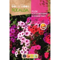 S.FLOX ROCALBA DRUMMOND VARIADAS S.FLOX ROCALBA DRUMMOND VARIADAS