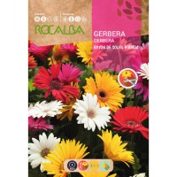 S.GERBERAS ROCALBA HIBRIDAS RAIO DO SOL