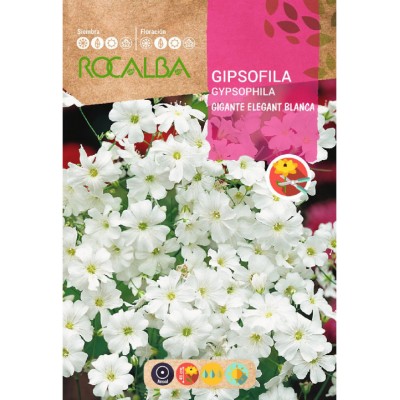 S.GIPSOFILA ROCALBA GIGANTE ELEG.BRANCA