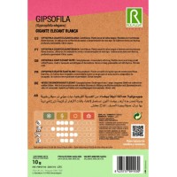 S.GIPSOFILA ROCALBA GIGANTE ELEG.BRANCA S.GIPSOFILA ROCALBA GIGANTE ELEG.BRANCA