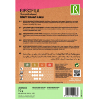 S.GIPSOFILA ROCALBA GIGANTE ELEG.BRANCA S.GIPSOFILA ROCALBA GIGANTE ELEG.BRANCA