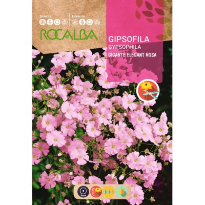 S.GIPSOFILA ROCALBA ROSA GIGANTE