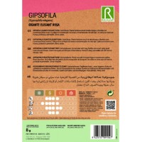 S.GIPSOFILA ROCALBA ROSA GIGANTE S.GIPSOFILA ROCALBA ROSA GIGANTE