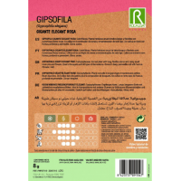 S.GIPSOFILA ROCALBA ROSA GIGANTE S.GIPSOFILA ROCALBA ROSA GIGANTE