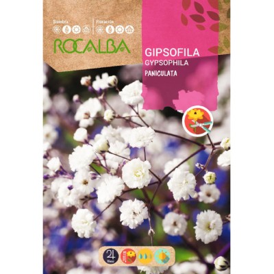 S.GIPSOFILA ROCALBA PANICULADA BRANCA