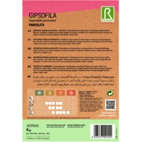 S.GIPSOFILA ROCALBA PANICULADA BRANCA S.GIPSOFILA ROCALBA PANICULADA BRANCA