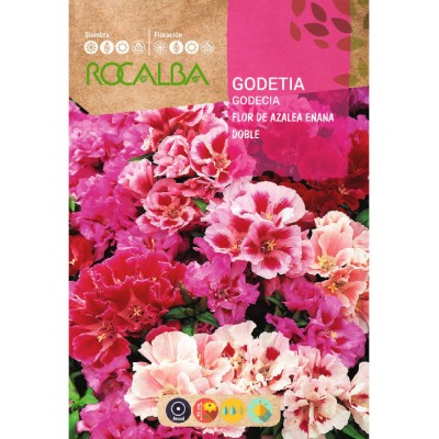 S.GODECIA ROCALBA ANA AZALIA